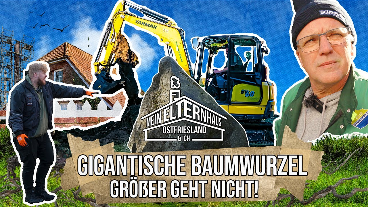 Ach du dicke Wurzel - Gärtners Paradise in Ostfriesland